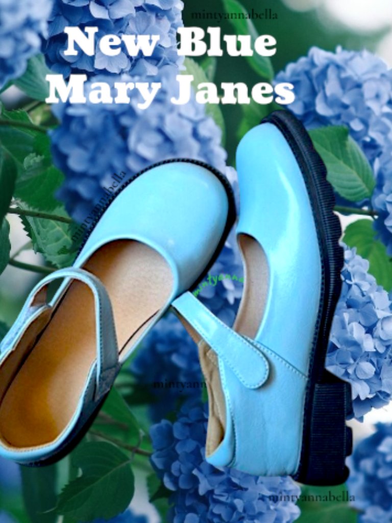 Blue Mary Jane Shoes
